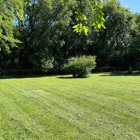 lawn care by Calderon Lawn Service reviewed on May 15, 2024