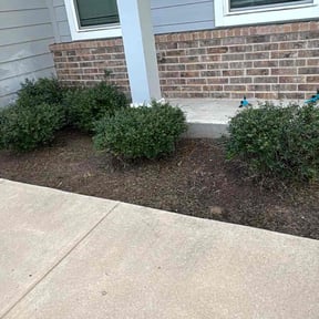 Flower Bed Weeding by d.hudson Complete Lawn Etc. reviewed on December 3, 2025