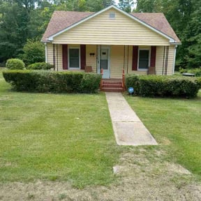 Bush Trimming by Yard envy lawn care reviewed on July 14, 2026