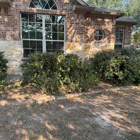 Bush Trimming by Two Brothers Landscaping reviewed on September 2, 2026