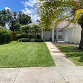 yard care by Thatsmydadlawncarellc reviewed on November 23, 2025