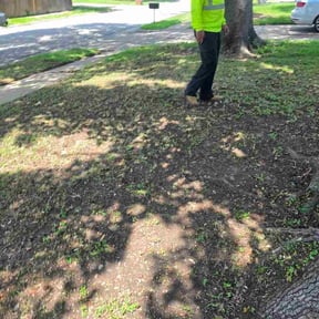 Leaf Removal by A&amp;D landscapes reviewed on May 30, 2026