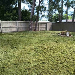 lawn care by 804 Lawn Pros LLC reviewed on November 9, 2017