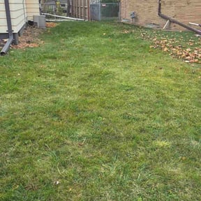 Leaf Removal by M&amp;D lawn care L.L.C reviewed on November 21, 2025