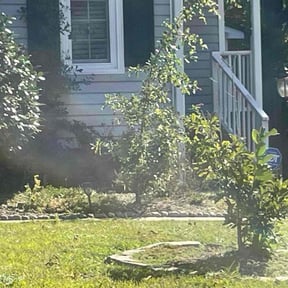 Flower Bed Weeding by JD&#039;s Lawn Care reviewed on October 22, 2025