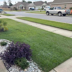 yard care by Quash contractor reviewed on August 17, 2025