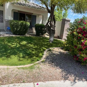 lawn care services by Proper Edge Lawn Care reviewed on August 21, 2025