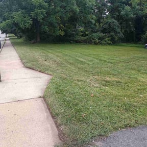 grass cutting by Dee's Touch lawn care reviewed on May 13, 2024