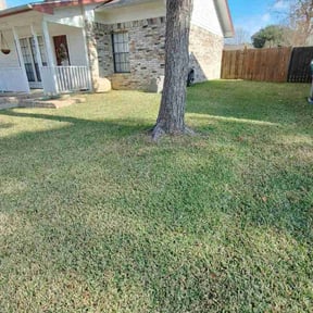 Leaf Removal by  reviewed on January 13, 2026