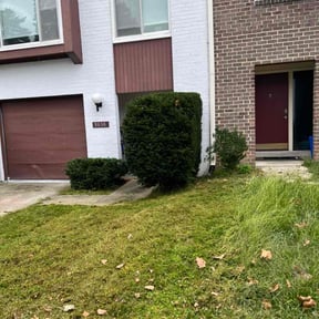 Bush Trimming by Salaam Lawn Care reviewed on October 22, 2025