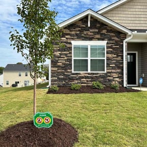 Mulching by God's Gift Lawn maintenance reviewed on August 21, 2025