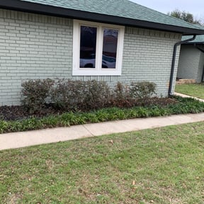 Bush Trimming by Sergio reviewed on August 20, 2025