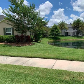 grass cutting by Scott's Landscape and pool service reviewed on March 23, 2025