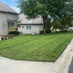 yard work by Father & Son Services reviewed on August 15, 2025