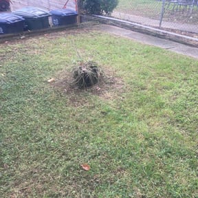 Leaf Removal by The Lawn Guy reviewed on September 29, 2025