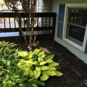 Flower Bed Weeding by Lawn services JAV reviewed on August 15, 2025