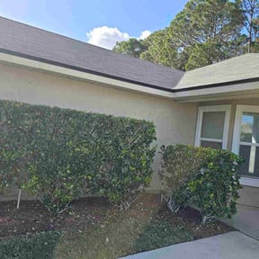 Bush Trimming by Dresden Green Lawnscape reviewed on December 25, 2025