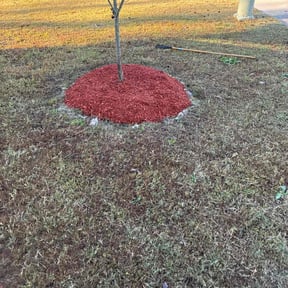 Mulching by Murphy's Lawn &amp; Landscape reviewed on November 22, 2025