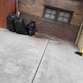 Leaf Removal by FLA Mowers LLC reviewed on June 6, 2026