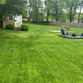 yard service by Let Us Mow reviewed on April 9, 2024