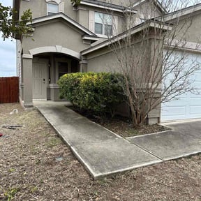 Bush Trimming by Property cuts reviewed on August 18, 2025