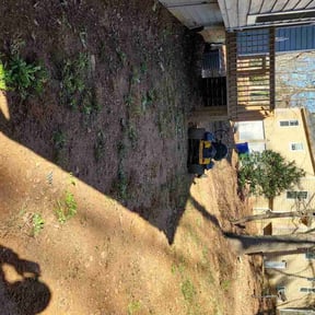 Leaf Removal by Level landscaping reviewed on August 22, 2026