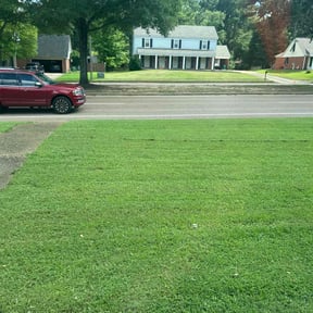 yard service by Greens power wash/home improvement reviewed on August 15, 2025