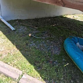 Flower Bed Weeding by Heights lawn care reviewed on April 19, 2026