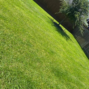 residential landscaping by C&L landscaping reviewed on August 20, 2025