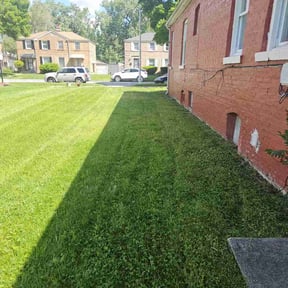 lawn care services by LT Landscaping reviewed on October 21, 2024
