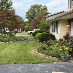 Bush Trimming by Blessed Blades LLC reviewed on April 30, 2024