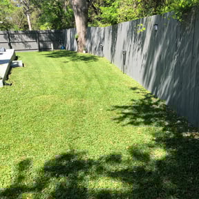 yard service by Yeti Yards reviewed on November 19, 2025