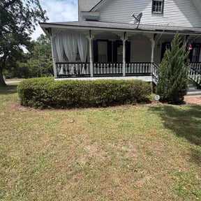 Bush Trimming by B &amp; N Straight Edge Lawn Care LLC reviewed on July 26, 2026