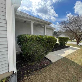 Bush Trimming by Bowkley Roofing &amp; Handyman reviewed on March 12, 2026