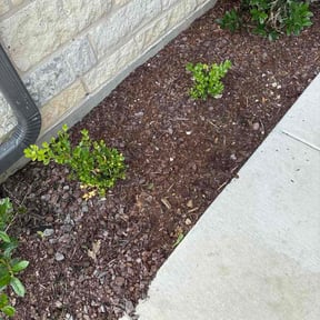 Flower Bed Weeding by True Blue Crab Lawns reviewed on June 13, 2026