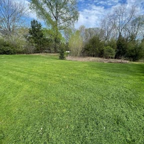 grass maintenance by S &amp; G Landscaping Inc reviewed on June 19, 2022