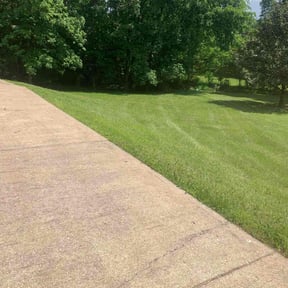 turf maintenance by Allen&#039;s Lawn Care reviewed on May 20, 2024