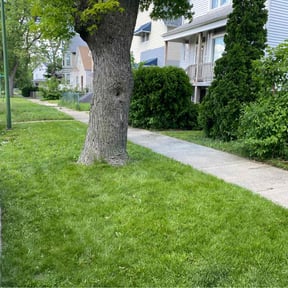 residential landscaping by Fortanel lanscaping reviewed on August 21, 2025