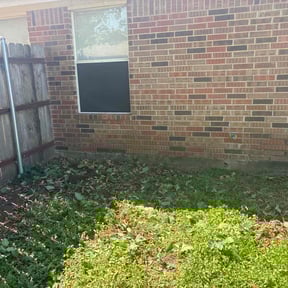 Bush Trimming by Oakwood Landscaping reviewed on November 9, 2017