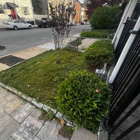 Bush Trimming by Proper Lawn Care, LLC reviewed on May 18, 2026