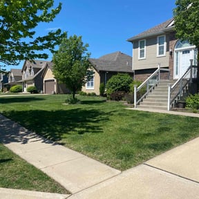 landscape maintenance by Moises Perez reviewed on December 11, 2025