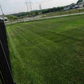 yard maintenance by Jackman&#039;s Lawn Care reviewed on November 19, 2025