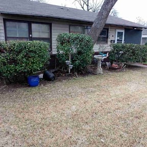 Bush Trimming by Done Rite Lawn Maintenance reviewed on February 15, 2026