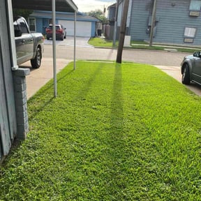 yard work by CR Services reviewed on December 10, 2025