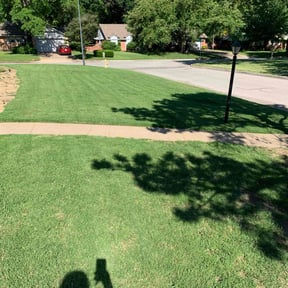 gardening service by Clearly Blue Cleaning LLC reviewed on August 19, 2025