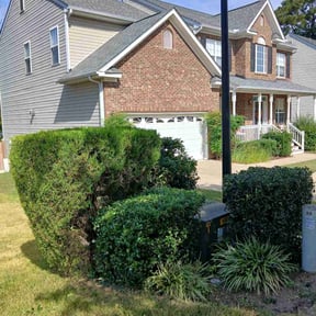 Bush Trimming by A1 landscaping reviewed on November 24, 2025