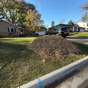 Leaf Removal by Taco Man Lawncare reviewed on August 3, 2022