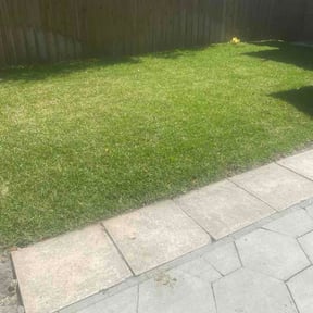 Leaf Removal by Striking Precision lawn service reviewed on March 11, 2026