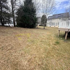 Leaf Removal by KRP Landscape reviewed on August 14, 2026