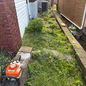 Bush Trimming by BG landscaping reviewed on April 21, 2026